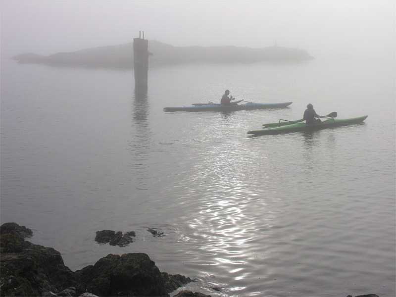 Kayaking In Fog